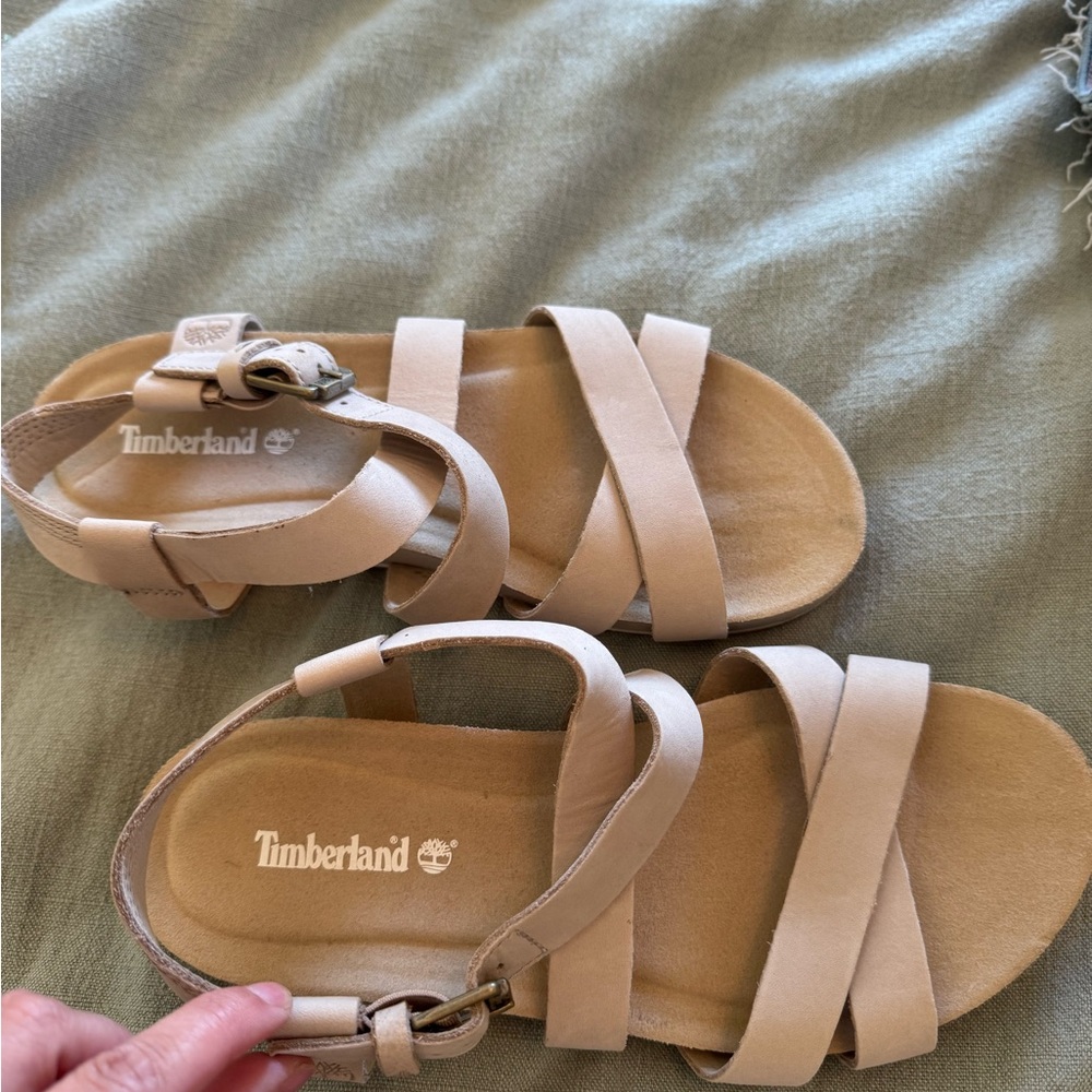 Timberland Light Tan Footwear